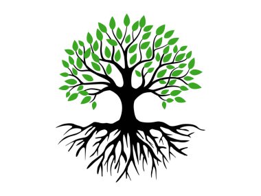 Yeşil yapraklı ağaç ve kökler güzel ve ferahlatıcı görünüyor. Ağaç ve kökler LOGO biçimi.