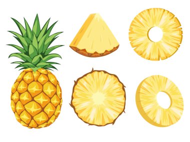 Bir dizi taze ananas tropikal meyve ikonu. Tam ananas, kesilmiş ve parçalanmış. Meyve suyu, meyve suyu veya vitaminli sağlıklı yiyecekler için organik meyveler. Beyaz arkaplanda izole edilmiş vektör simgeleri.