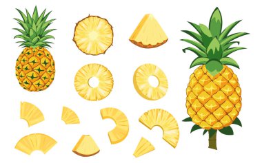 Bir dizi taze ananas tropikal meyve ikonu. Tam ananas, kesilmiş ve parçalanmış. Meyve suyu, meyve suyu veya vitaminli sağlıklı yiyecekler için organik meyveler. Beyaz arkaplanda izole edilmiş vektör simgeleri.