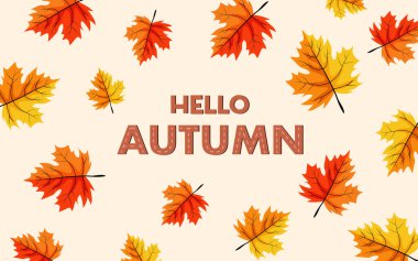 Sonbahar arka plan konsepti. yapraklar renkli ve sonbahar mevsimi için elementler beyaz arkaplanda.