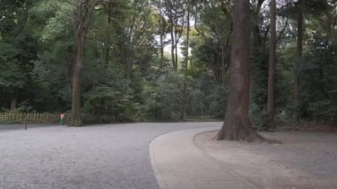 Meiji Tapınağı, Tokyo Japonya 2022