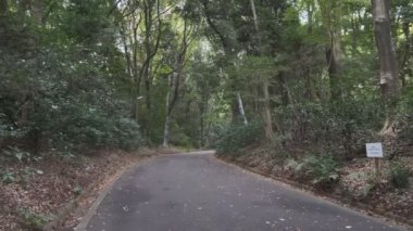 Meiji Tapınağı, Tokyo Japonya 2022