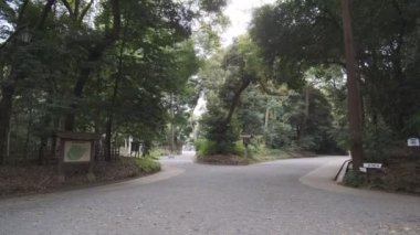 Meiji Tapınağı, Tokyo Japonya 2022
