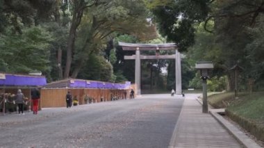 Meiji Tapınağı, Tokyo Japonya 2022