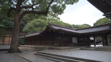 Meiji Tapınağı, Tokyo Japonya 2022