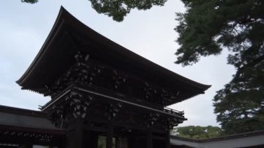 Meiji Tapınağı, Tokyo Japonya 2022