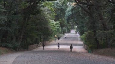 Meiji Tapınağı, Tokyo Japonya 2022