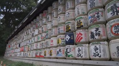 Meiji Tapınağı, Tokyo Japonya 2022