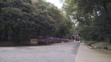 Meiji Tapınağı, Tokyo Japonya 2022