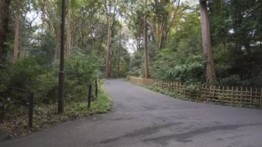 Meiji Tapınağı, Tokyo Japonya 2022