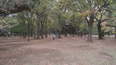 Tokyo Yoyogi Parkı 2022 Sonbahar