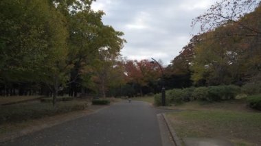 Tokyo Yoyogi Parkı 2022 Sonbahar