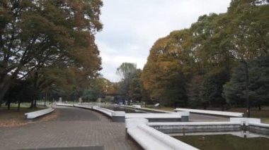 Tokyo Yoyogi Parkı 2022 Sonbahar