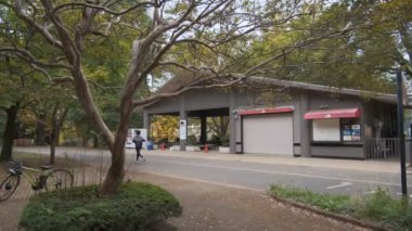 Tokyo Yoyogi Parkı 2022 Sonbahar