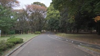 Tokyo Yoyogi Parkı 2022 Sonbahar