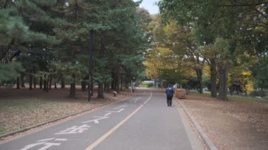 Tokyo Yoyogi Parkı 2022 Sonbahar