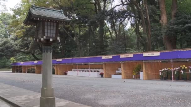 明治神宮 東京2022年 — ストック動画