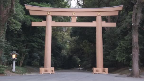 Santuario Meiji Tokyo Giappone 2022 — Video Stock