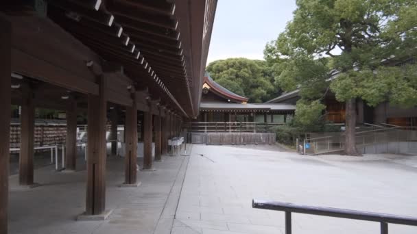 Kuil Meiji Tokyo Jepang 2022 — Stok Video