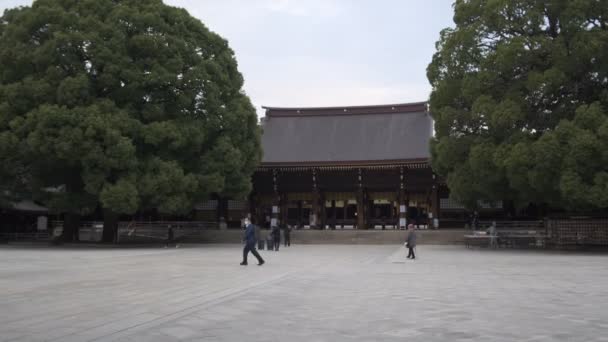 Meiji Shrine Tokyo Japan 2022 — Stock Video