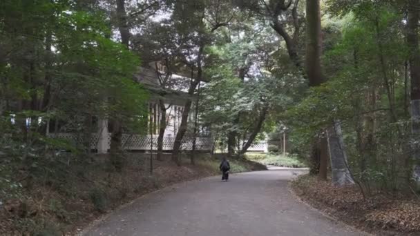 Santuario Meiji Tokio Japón 2022 — Vídeo de stock