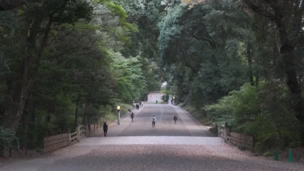 Santuario Meiji Tokyo Giappone 2022 — Video Stock