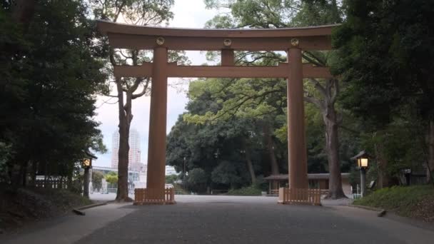 明治神宮 東京2022年 — ストック動画
