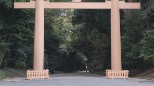 Храм Мэйдзи Токио Япония 2022 — стоковое видео