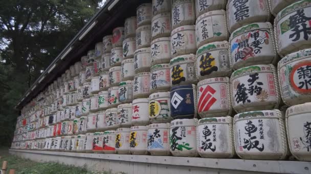 Meiji Shrine Tokyo Japan 2022 — 图库视频影像