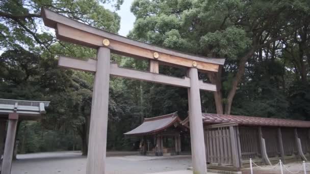 Meiji Tapınağı Tokyo Japonya 2022 — Stok video