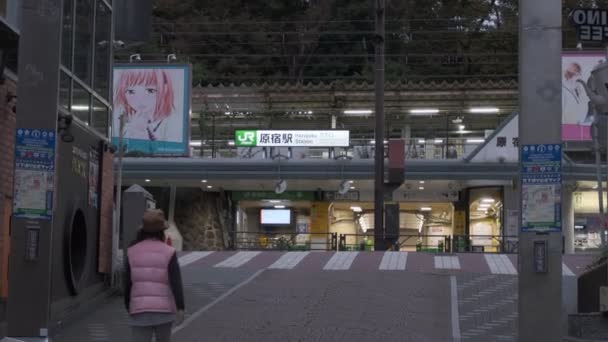 Tokyo Harajuku Kasım 2022 — Stok video
