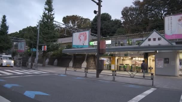 東京原宿2022年11月上旬 — ストック動画