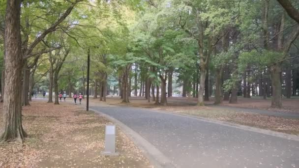 Tokyo Yoyogi Park 2022 Otoño — Vídeo de stock