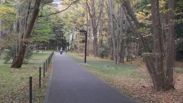 Tokyo Yoyogi Park 2022 Höst — Stockvideo