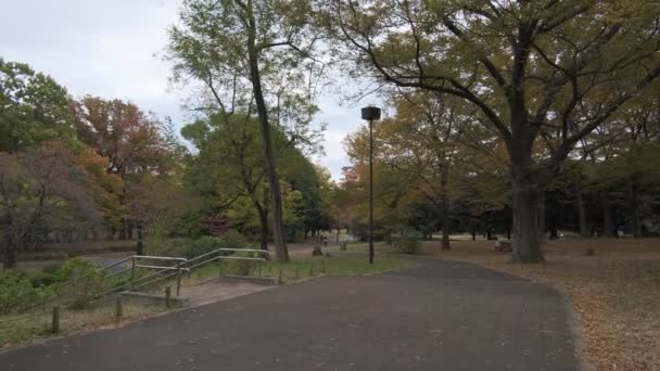 Токио Парк Йёги 2022 Autumn — стоковое видео