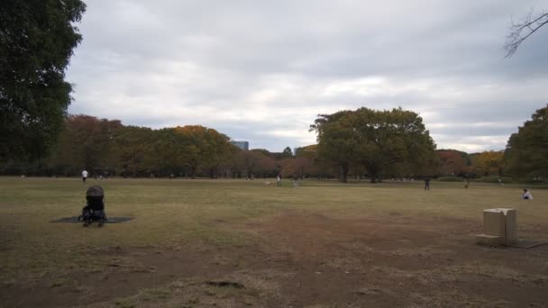 Tokyo Yoyogi Parkı 2022 Sonbahar — Stok video