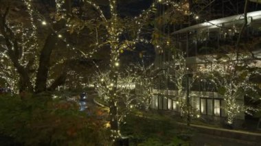 Tokyo Midtown Kış Aydınlatma 2022