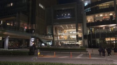 Tokyo Midtown Kış Aydınlatma 2022