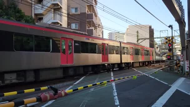 Tokyo Shinagawa Demiryolu Geçidi Kasım 2022 — Stok video