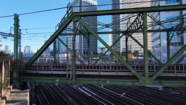 Токийский Железнодорожный Переход Синагава — стоковое видео