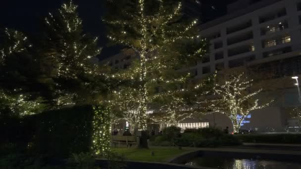 Tokyo Midtown Winter Illumination 2022 — Vídeos de Stock