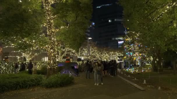 Tokyo Midtown Winterbeleuchtung 2022 — Stockvideo
