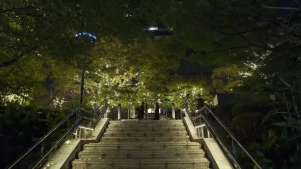 Oświetlenie Zimowe Tokio Midtown 2022 — Wideo stockowe