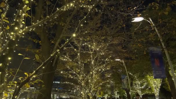 Éclairage Hiver Tokyo Midtown 2022 — Video
