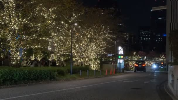 Зимнее Освещение Токио Центре Города — стоковое видео