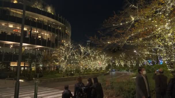 Tokyo Midtown Kış Aydınlatma 2022 — Stok video