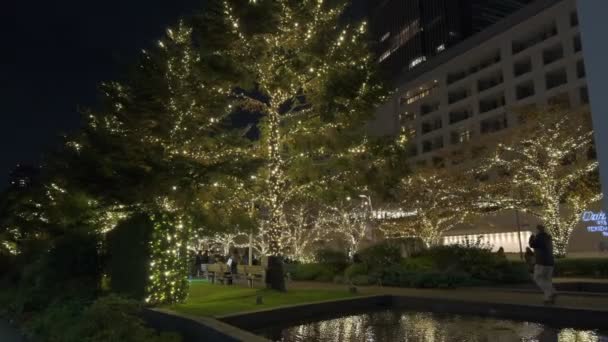 Oświetlenie Zimowe Tokio Midtown 2022 — Wideo stockowe