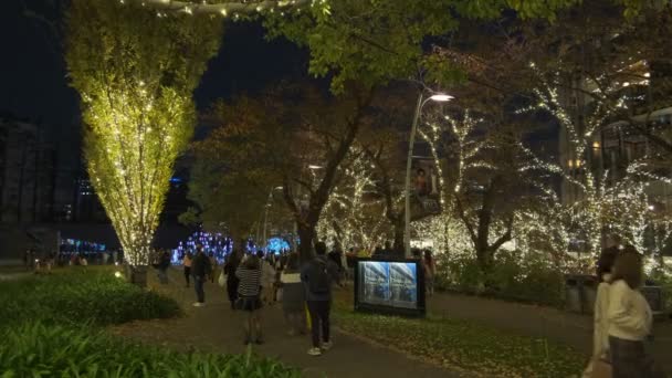 Tokyo Midtown Winterbeleuchtung 2022 — Stockvideo