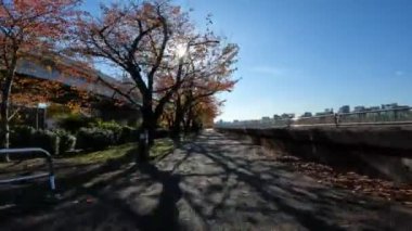 Tokyo Sumidagawa Bisiklet 2022 Sonbahar