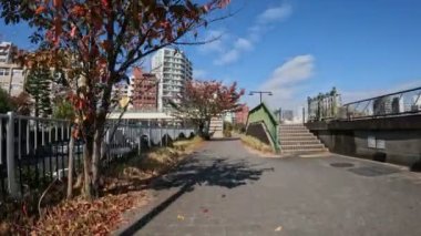 Tokyo Sumidagawa Bisiklet 2022 Sonbahar